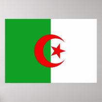 African Flag Poster