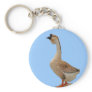 African Goose