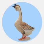 African Goose Round Sticker