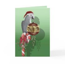 African Grey Christmas