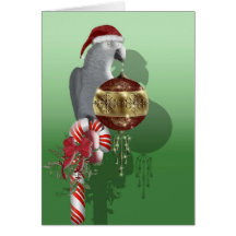 African Grey Christmas Greeting Card