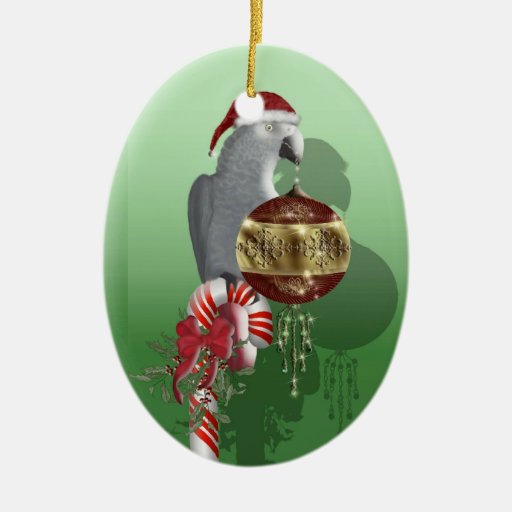 african grey zazzle african grey zazzle