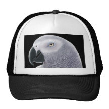 African Grey Hat