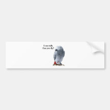African Grey I can talk, can you fly? Bumper Stickers