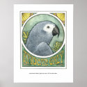 African Grey Nouveau posters