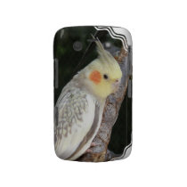 African Grey Parrot Blackberry Bold Case