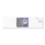 African Grey Parrot Bumper Sticker