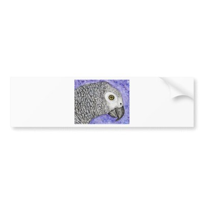 African Grey Parrot Bumper Sticker by pamutton