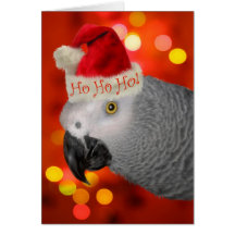 African Grey Parrot Christmas Card Santa Hat