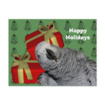 African Grey Parrot Christmas Holiday Postcard