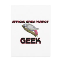 African Grey Parrot Geek