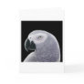 African Grey Parrot Greeting Card