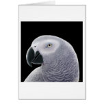African Grey Parrot Greeting Card