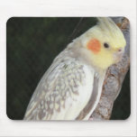 African Grey Parrot Mouse Pad