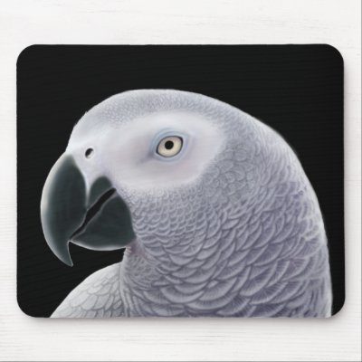 African Grey Parrot Mousepad by twopurringcats