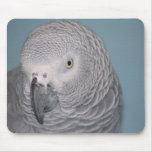 African Grey Parrot Mousepad