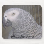 African Grey Parrot Mousepad