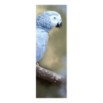 African Grey Parrot Portrait Bookmark Cards