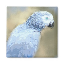 African Grey Parrot Portrait Magnets