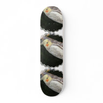 African Grey Parrot Skateboard