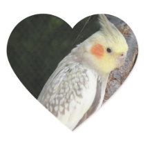 African Grey Parrot Stickers