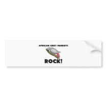 African Grey Parrots Rock