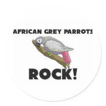African Grey Parrots Rock