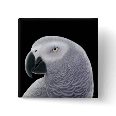 African Grey Pin by twopurringcats
