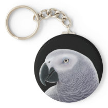 African Grey Portrait