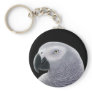 African Grey Portrait