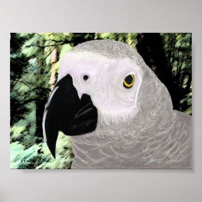 African Grey Posters by Yoshis_art