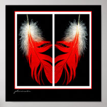 African Grey red tail feathers Print
