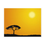 African Landscape Postcard