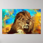 African-Lion-12167-p Print