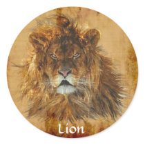 AFRICAN LION Big Five Big Cat Wildlife Stickers