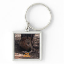 AFRICAN LION Big Five Cat Wildlife Keychain