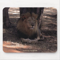 AFRICAN LION Big Five Cat Wildlife Mousepad