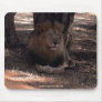 AFRICAN LION Big Five Cat Wildlife Mousepad