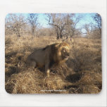 AFRICAN LION Big Five Cat Wildlife Mousepad