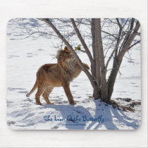 African Lion & Butterfly Photo Mousepad