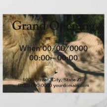 African Lion Full Color Flyer