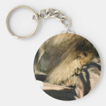 African Lion Keychains