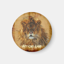 African Lion King of the Jungle Wildlife Art Refrigerator Magnets