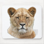 african lion mousepad