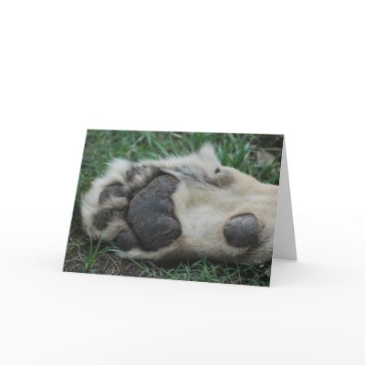 "African Lion Paw" Greeting Card by smilodonart