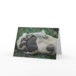 "African Lion Paw" Greeting Card
