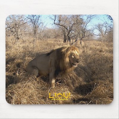 African Lion Photo Wildlife Mousepad by HANDPRINTS