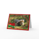 African Lion & White Tiger Playing Valentine Cards