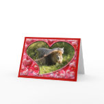 African Lion & White Tiger Playing Valentine Cards