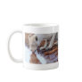 African Lions reflection Mugs